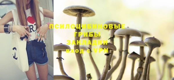 гидра Алексеевка