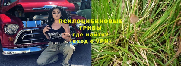 spice Алексин