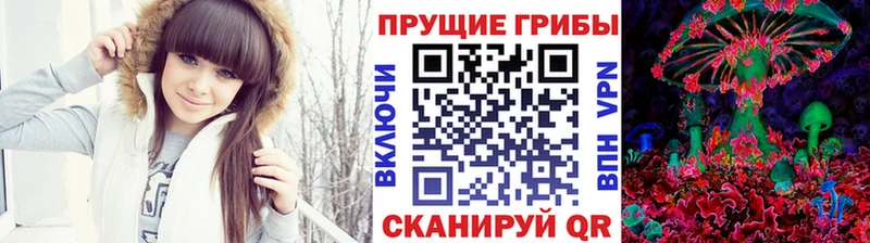 Псилоцибиновые грибы GOLDEN TEACHER  купить  сайты  Циолковский 